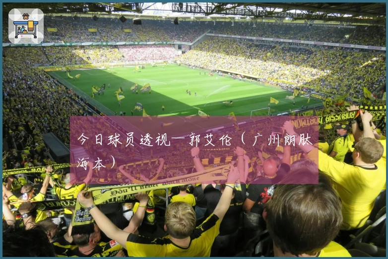 今日球员透视—郭艾伦（广州朗肽海本）